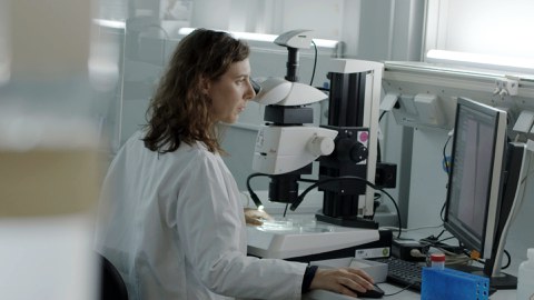 Dr. Rita Mateus works at a microscope in a laboratory.
