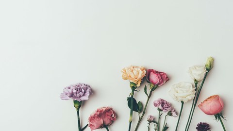 Studieren in Dresden, Blumenbild, Avatar rund ums Studium