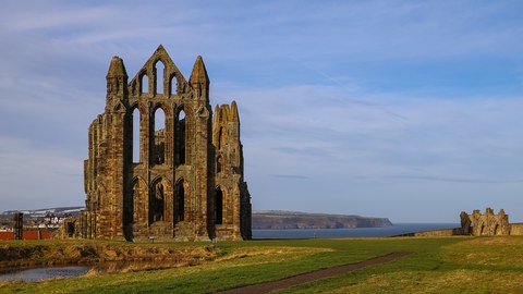 The ruins of a gothic church on a green lawn next to the sea